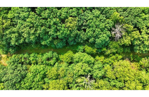 32.7+/- ACRES Oak Glen Circle, Lyndon Station, WI 53944