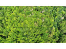 32.7+/- ACRES Oak Glen Circle, Lyndon Station, WI 53944