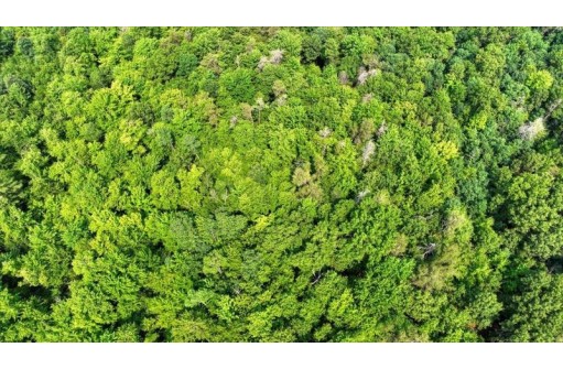 32.7+/- ACRES Oak Glen Circle, Lyndon Station, WI 53944