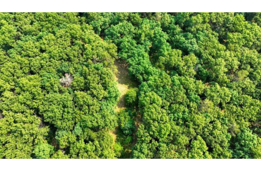 32.7+/- ACRES Oak Glen Circle, Lyndon Station, WI 53944