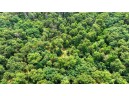 32.7+/- ACRES Oak Glen Circle, Lyndon Station, WI 53944