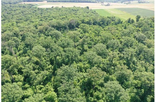 24 +/- AC Sunrise Road, Loganville, WI 53943