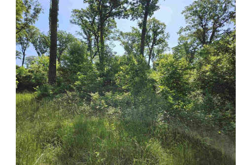 24 +/- AC Sunrise Road, Loganville, WI 53943