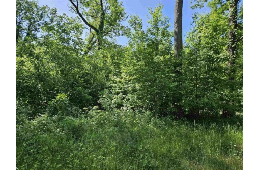 24 +/- AC Sunrise Road, Loganville, WI 53943