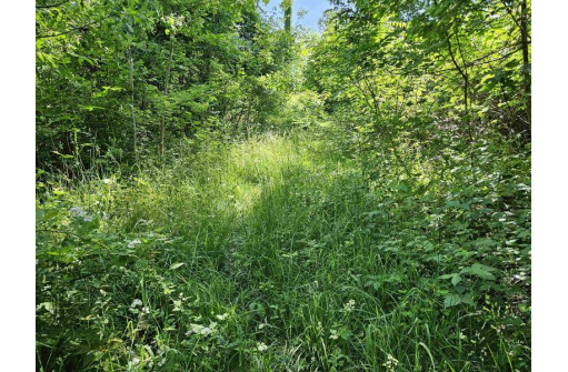 24 +/- AC Sunrise Road, Loganville, WI 53943