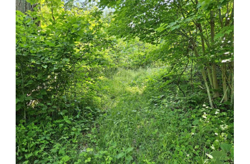 24 +/- AC Sunrise Road, Loganville, WI 53943