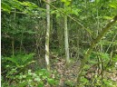 24 +/- AC Sunrise Road, Loganville, WI 53943