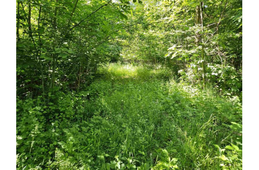 24 +/- AC Sunrise Road, Loganville, WI 53943