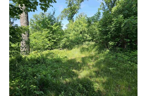 24 +/- AC Sunrise Road, Loganville, WI 53943