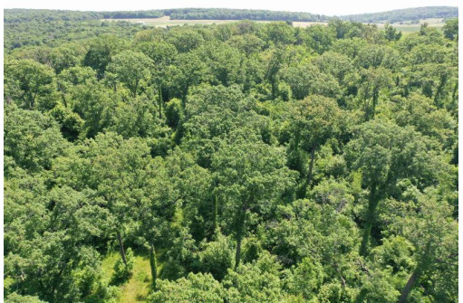 24 +/- AC Sunrise Road, Loganville, WI 53943