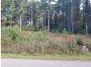 LOT 28 Deer Run Ridge, Wisconsin Dells, WI 53965