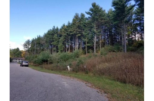 LOT 28 Deer Run Ridge, Wisconsin Dells, WI 53965