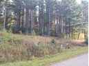 LOT 28 Deer Run Ridge, Wisconsin Dells, WI 53965