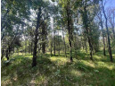 7.7 ACRES Eileen Lane, Lyndon Station, WI 53944