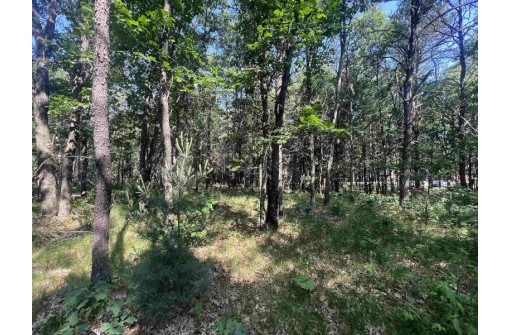 7.7 ACRES Eileen Lane, Lyndon Station, WI 53944