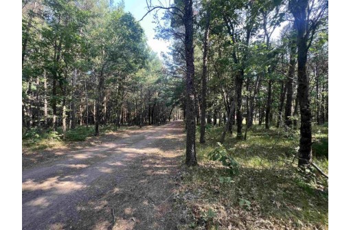 7.7 ACRES Eileen Lane, Lyndon Station, WI 53944