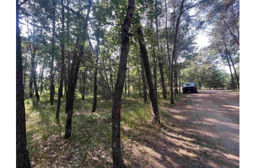 7.7 ACRES Eileen Lane, Lyndon Station, WI 53944