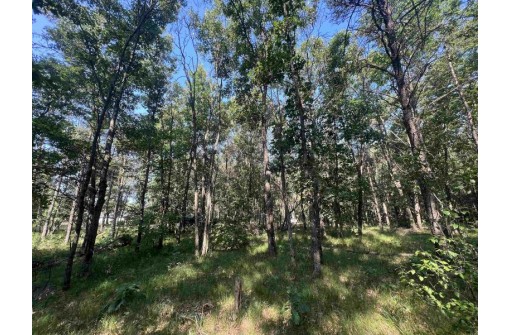 7.7 ACRES Eileen Lane, Lyndon Station, WI 53944