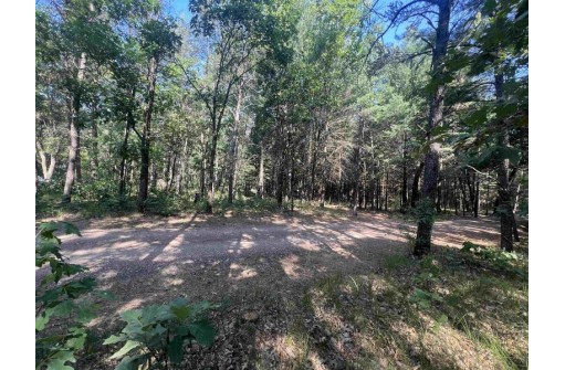 7.7 ACRES Eileen Lane, Lyndon Station, WI 53944