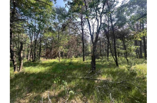 7.7 ACRES Eileen Lane, Lyndon Station, WI 53944