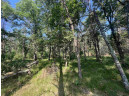 7.7 ACRES Eileen Lane, Lyndon Station, WI 53944