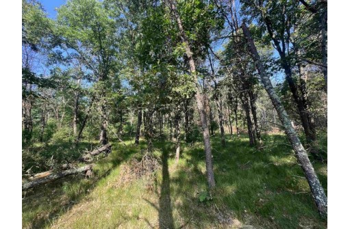 7.7 ACRES Eileen Lane, Lyndon Station, WI 53944