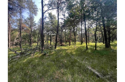 7.7 ACRES Eileen Lane, Lyndon Station, WI 53944