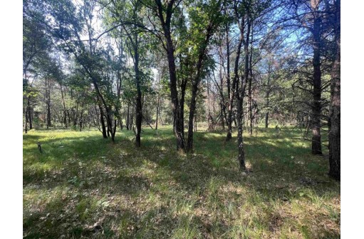 7.7 ACRES Eileen Lane, Lyndon Station, WI 53944