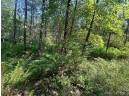 7.7 ACRES Eileen Lane, Lyndon Station, WI 53944