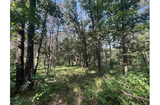 7.7 ACRES Eileen Lane, Lyndon Station, WI 53944