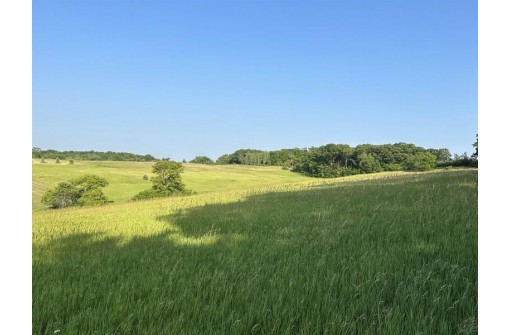 LOT 3 Hustad Valley Road, New Glarus, WI 53574