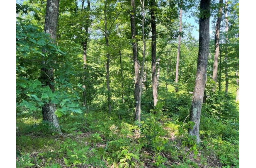 39.87 ACRES Woefl Road, Lyndon Station, WI 53944