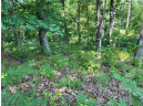 39.87 ACRES Woefl Road, Lyndon Station, WI 53944