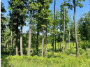 39.87 ACRES Woefl Road, Lyndon Station, WI 53944