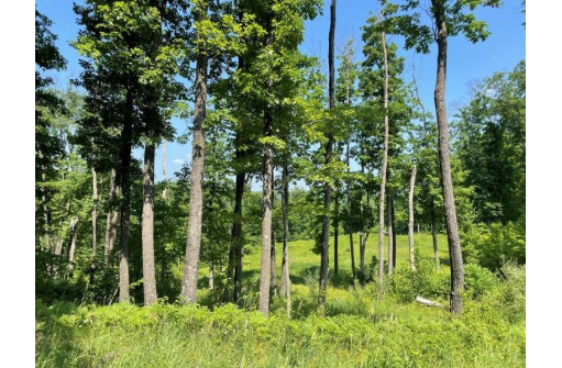 39.87 ACRES Woefl Road, Lyndon Station, WI 53944