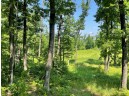 39.87 ACRES Woefl Road, Lyndon Station, WI 53944