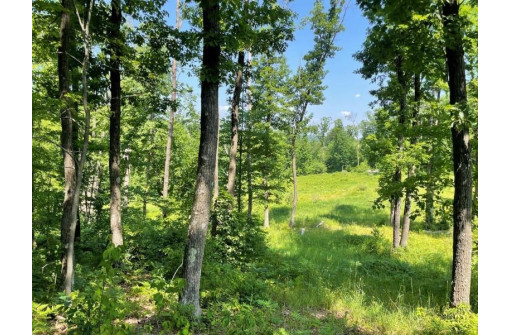 39.87 ACRES Woefl Road, Lyndon Station, WI 53944