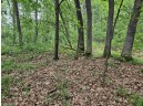 39.87 ACRES Woefl Road, Lyndon Station, WI 53944