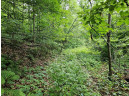 39.87 ACRES Woefl Road, Lyndon Station, WI 53944