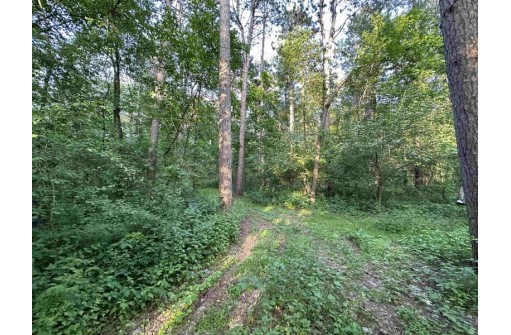 LOT 46 Lake Drive, Brodhead, WI 53520