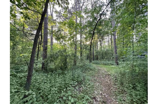 LOT 46 Lake Drive, Brodhead, WI 53520