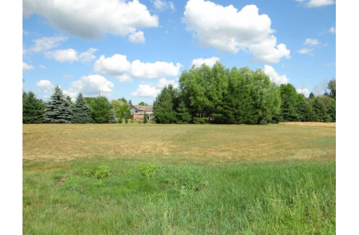 N9384 Wood Duck Circle, Belleville, WI 53508