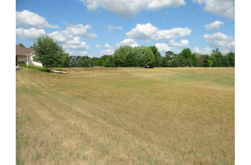 N9384 Wood Duck Circle, Belleville, WI 53508