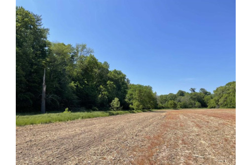 65.33 Acres Brockman Road, Elroy, WI 53929