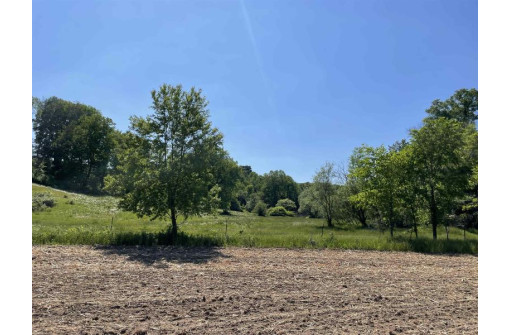 65.33 Acres Brockman Road, Elroy, WI 53929