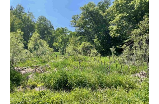 65.33 Acres Brockman Road, Elroy, WI 53929