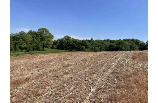 65.33 Acres Brockman Road, Elroy, WI 53929