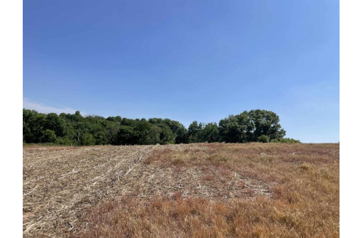 65.33 Acres Brockman Road, Elroy, WI 53929