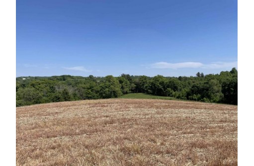 65.33 Acres Brockman Road, Elroy, WI 53929