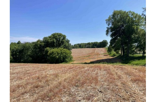 65.33 Acres Brockman Road, Elroy, WI 53929